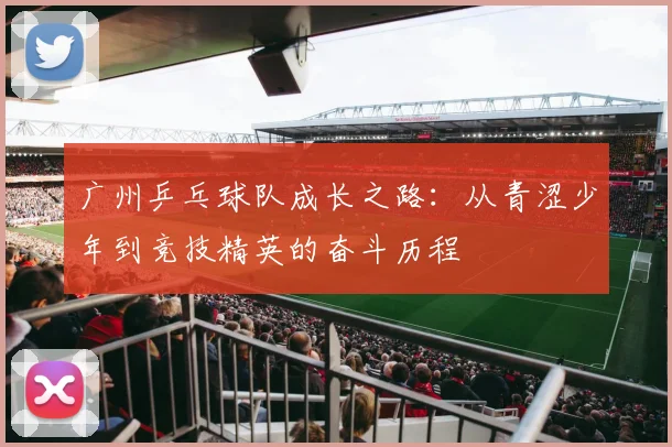 广州乒乓球队成长之路：从青涩少年到竞技精英的奋斗历程